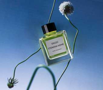 картинка Аромадиффузор с палочками Viaggio 50 мл (DL) 3180611  от магазина ТНП