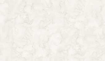 картинка Обои декор г.т. на флиз. основе арт.11324-02 Иней, 10м*1,06м-НСЛС-RU-0004-Ц-00013-24-S, Производител от магазина ТНП