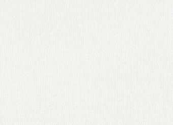 картинка Обои TH91302 1.06*10m от магазина ТНП