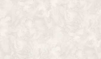 картинка Обои декор г.т. на флиз. основе арт.11324-04 Иней, 10м*1,06м-НСЛС-RU-0004-Ц-00013-24-S, Производител от магазина ТНП