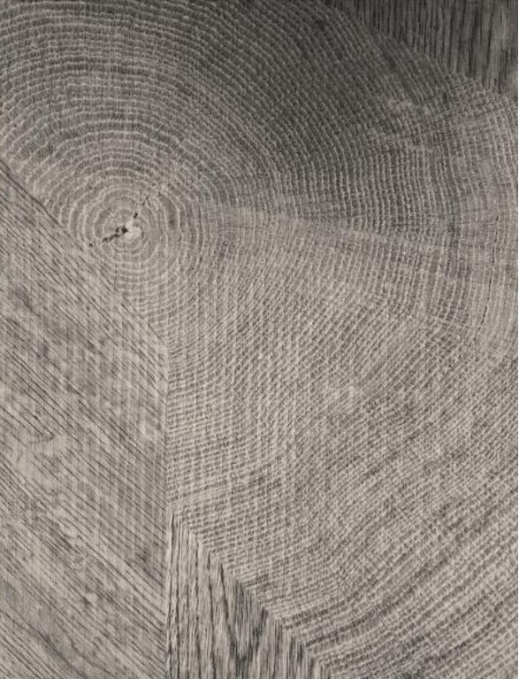 картинка Стеновая декоративная панель "Модерн" 2710*240*6 мм Дуб Лофт Светлый 1 сорт от магазина ТНП