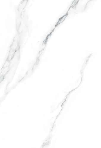 картинка Керамическая плитка TP8001 400*800мм  от магазина ТНП