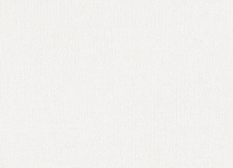 картинка Обои TH91302 1.06*10m от магазина ТНП