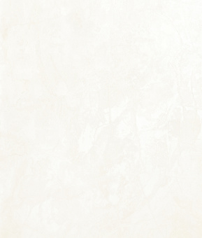 картинка Обои TH21307 1.06*10m от магазина ТНП